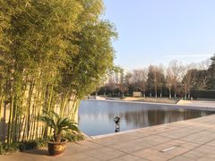 -金陵图书馆