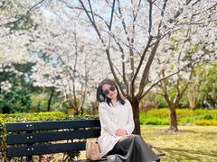 -徐家汇源景区-衡山公园