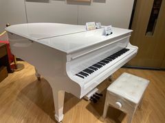 -柏斯音乐艺术中心·钢琴·吉他(上音店)