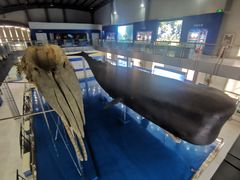 -上海海洋大学鱼文化博物馆(军工路校区)