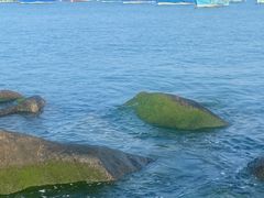 -海源公园