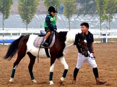 -月河湾马术俱乐部(朝阳店)