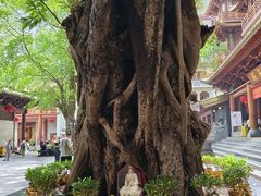 -大佛寺高级素食自助餐厅