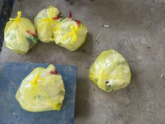 -马陆小张葡萄园农家乐