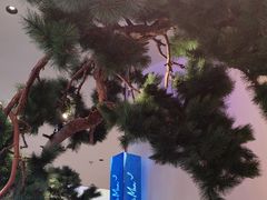 -桂满陇·蟹黄小笼汤包(中山公园店)
