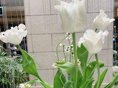 -1/4 ONE QUARTER COFFEE LAB(朝阳大悦城店)