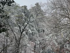 -庐山风景区花径公园