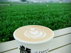-龙坞茶村