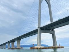 -港珠澳大桥(珠海段)