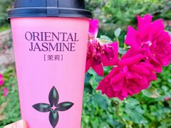 -茉莉奶白(天水秦州万达广场店)
