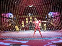 -珠海横琴长隆《卡卡虎奇遇记》