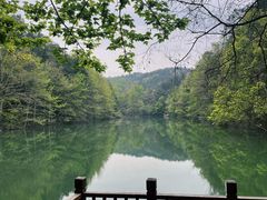 -青龙山国家森林公园