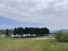 -玉舍国家森林公园