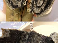 -欧式面包坊(青岛万象城店)