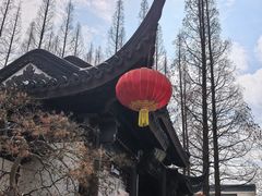 -上海醉白池公园