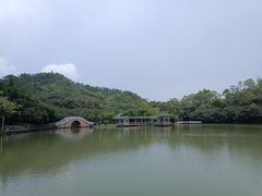 -大雁山风景区