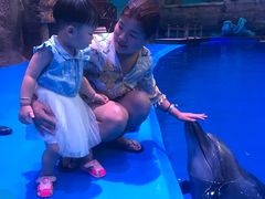 -华夏文旅海洋公园