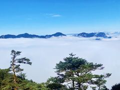 -神农架景区