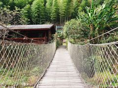 -宁波余姚老柿林山居度假村