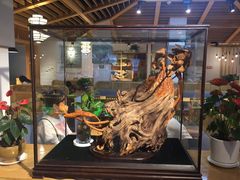 -龙抄手食府(浣花北路店)