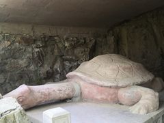 -上海佘山国家森林公园天马山园