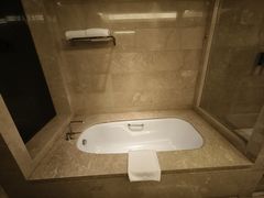 -廊坊固安福朋喜来登酒店