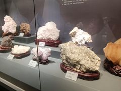 -湖南省地质博物馆