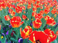 -无锡市市民中心