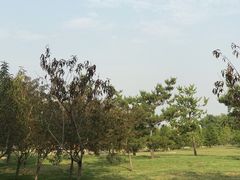 -洨河生态公园