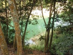 景点-广州市流溪河国家森林公园