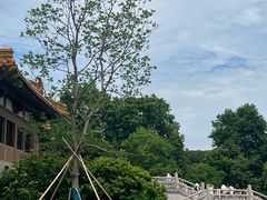 -南京博物院
