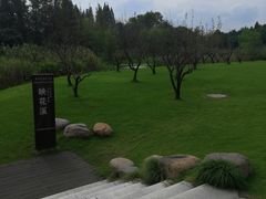 -长田漾湿地公园
