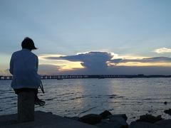 -宝安西湾红树林湿地公园