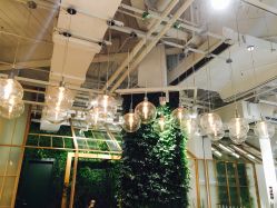 -悦诗风吟innisfree
