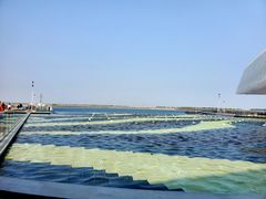 -贝林大翅鲸简餐厅(国家海洋博物馆店)