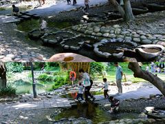 -成都市活水公园