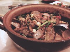 啫啫猪耳-围龙屋客家食府(福田店)