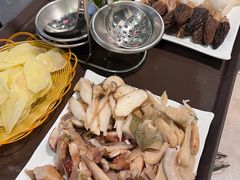 -蘑统田下·野生菌火锅