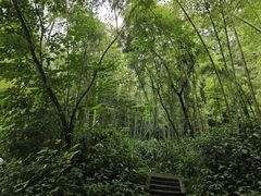 -峨眉山报国寺