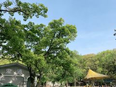 -WeLope紫金山探险公园