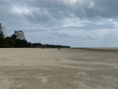 -东郊椰林