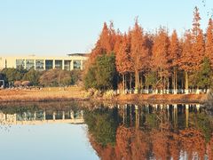 -艾溪湖湿地公园