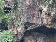 -树山生态村