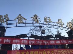 -洛阳郁金香牡丹园