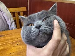 -老北京褡裢火烧·任记