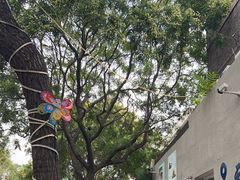 -大象厨房(重庆道店)