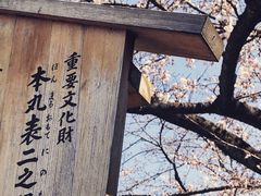 -名古屋城