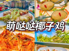 -亚龙湾热带天堂森林公园