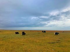-青海湖国家重点风景名胜区