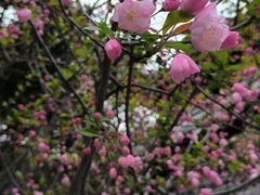 -龙华寺
